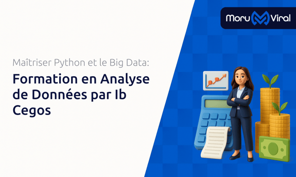 Formation en Analyse de Données par Ib Cegos: Le guide complet pour maîtriser Python et le Big Data