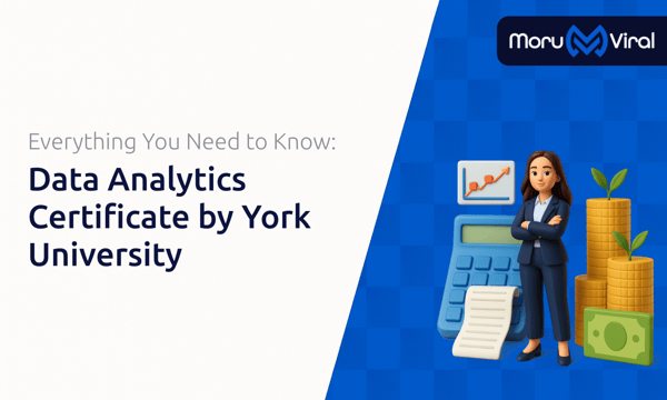 Data Analytics Certificate by York University: Everything You Need to Know